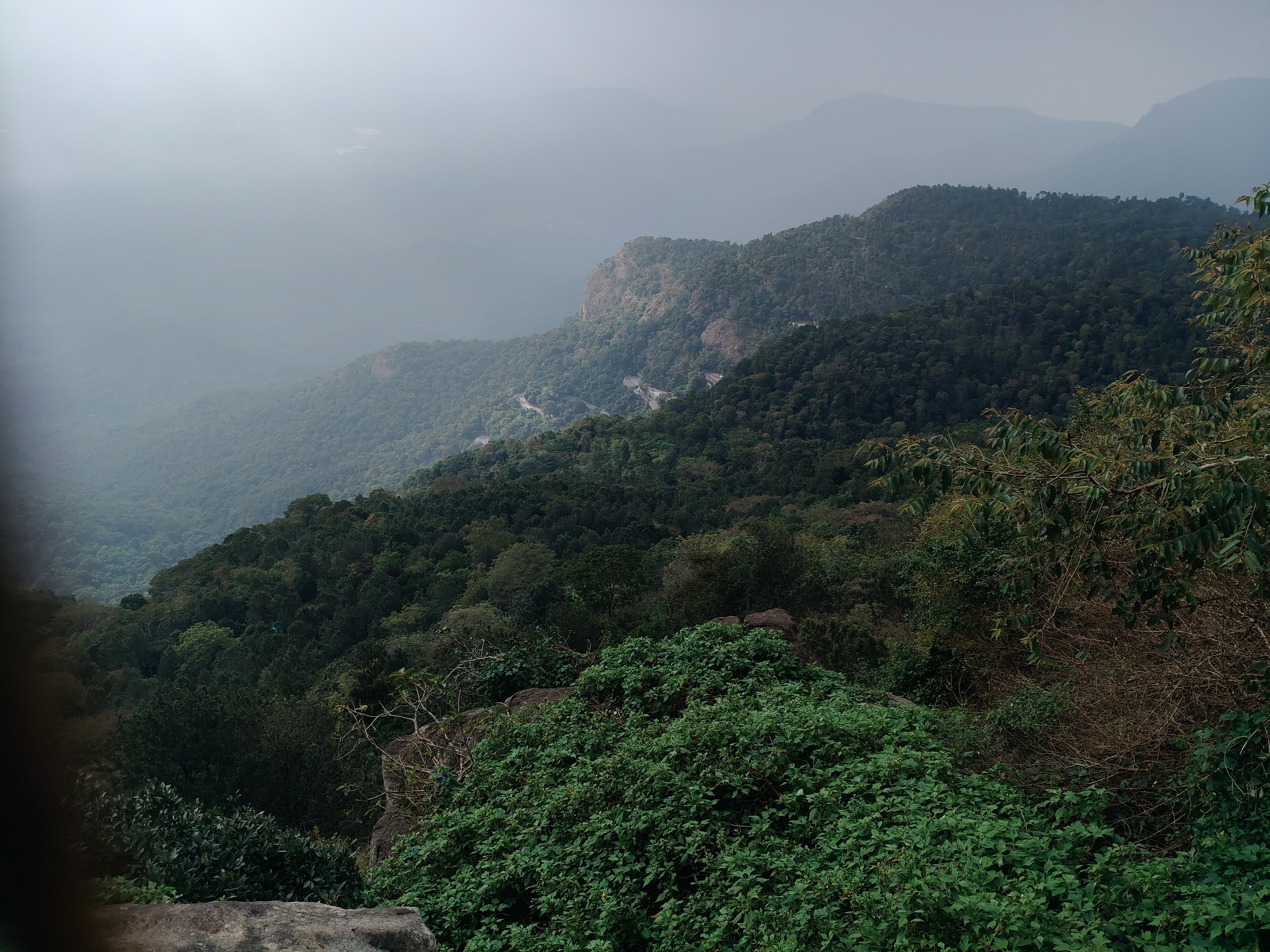 I took a drive to Yercaud from Chennai – it was a life changing experience